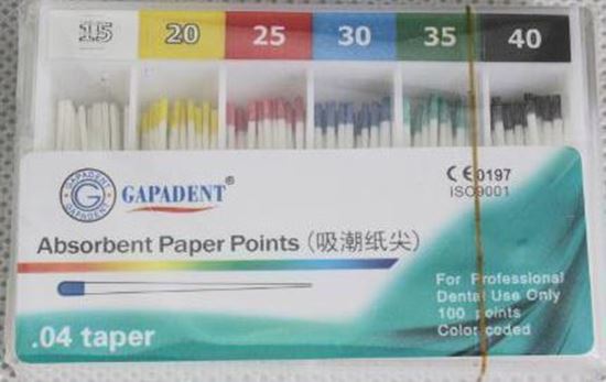 Паперові штифти 04 (Absorbent Paper Points) 100шт