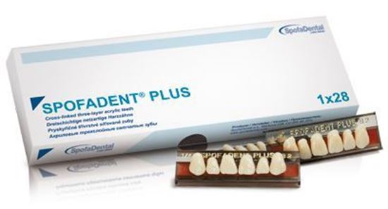  Зображення Гарнітур зубів Spofadent Plus (повний набір) 