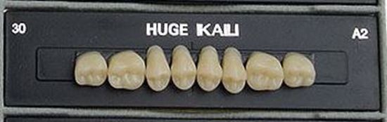  Зображення Планки жувальних верхніх зубів (задніх) Kaili HUGE DENT 