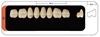  Зображення Планки жувальних верхніх зубів (задніх) Kaili HUGE DENT 