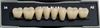  Зображення Планки жувальних нижніх зубів (задніх) Kaili HUGE DENT 
