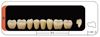  Зображення Планки жувальних нижніх зубів (задніх) Kaili HUGE DENT 