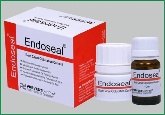 Endoseal (Эндосил) для каналов 20 г + 10 мл